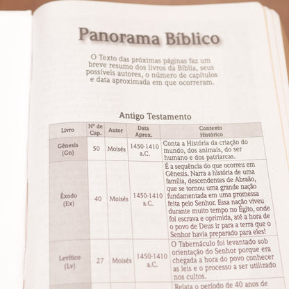 Bíblia Sagrada Floresça | NVI | Letra Maior | Capa Dura