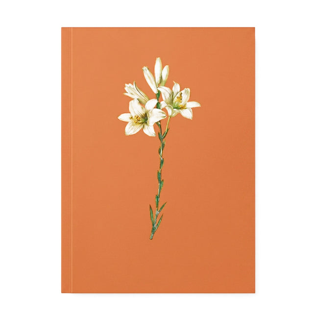 Bíblia Sagrada Lírios Laranja | NAA | Letra Normal | Capa Ilustrada