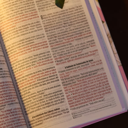 Bíblia Sagrada Lírios | NVI | Letra Maior | Capa Dura Rosa