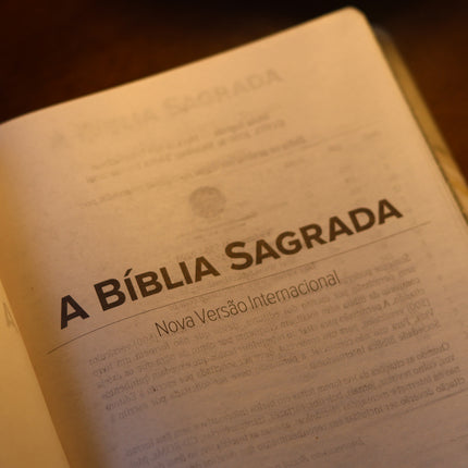 Bíblia Sagrada Lírios | NVI | Letra Maior | Capa Dura