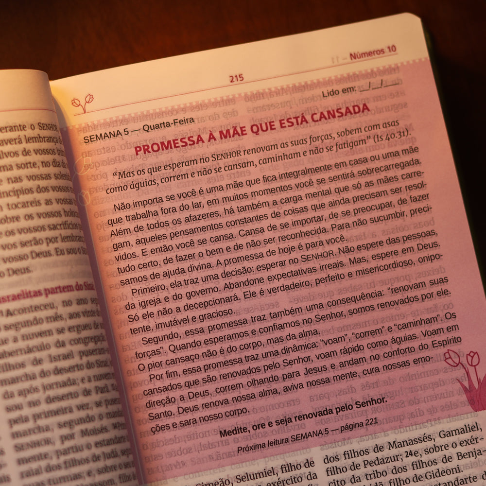Bíblia Sagrada Mães da Aliança | ARA | Letra Normal | Capa Luxo Verde Marfim