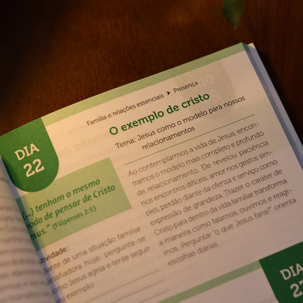 Devocional 365 Dias de Paz e Amor Com Deus | Donaldo Buchweitz