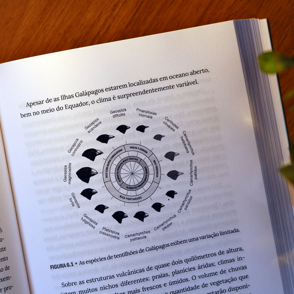 A Involução de Darwin | Michael J. Behe