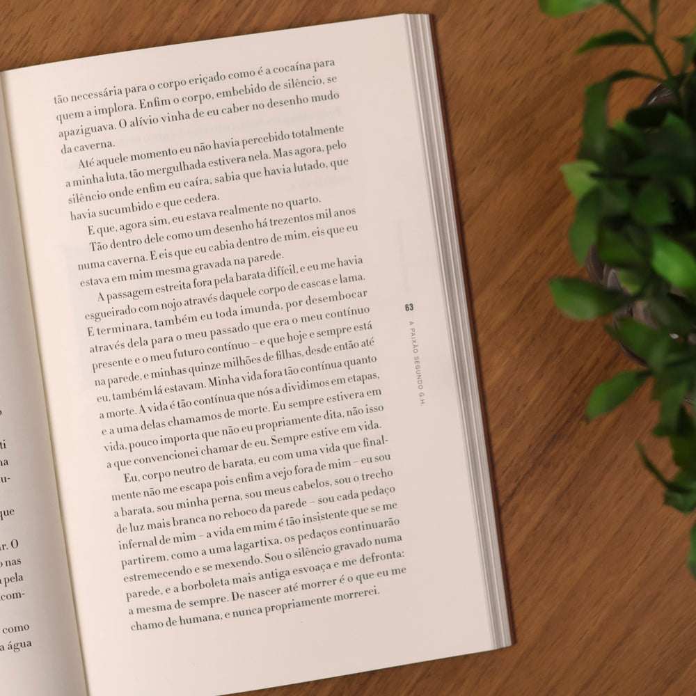 A Paixão Segundo G. H. |  Clarice Lispector