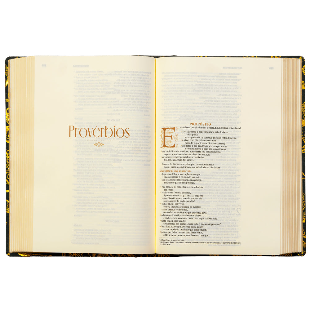 Bíblia Falei Com Amor Pássaros | NVI | Bible Journaling | Leitura Perfeita | Capa Verde
