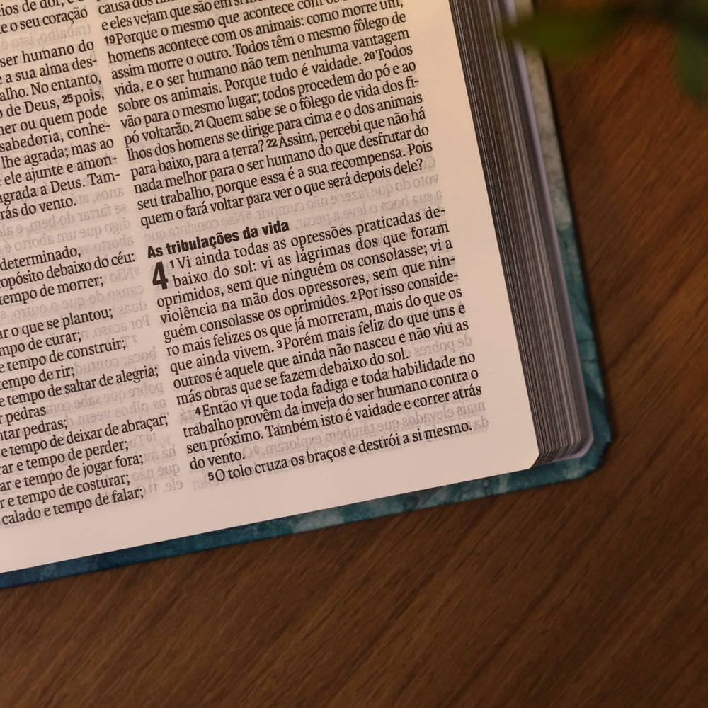 Bíblia Sagrada Inspiração | NAA | Capa Dura