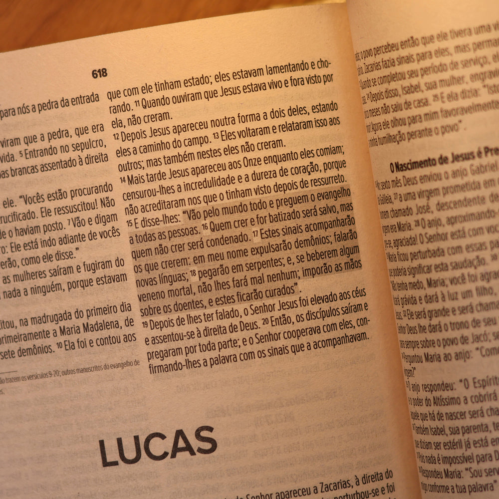 Bíblia Sagrada Lírios Verde | NVI | Letra Maior | Capa Dura