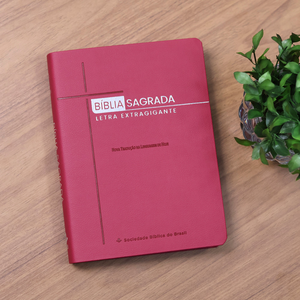 Bíblia Sagrada | NTLH | Letra Extragigante | Com Índice | Capa Pink