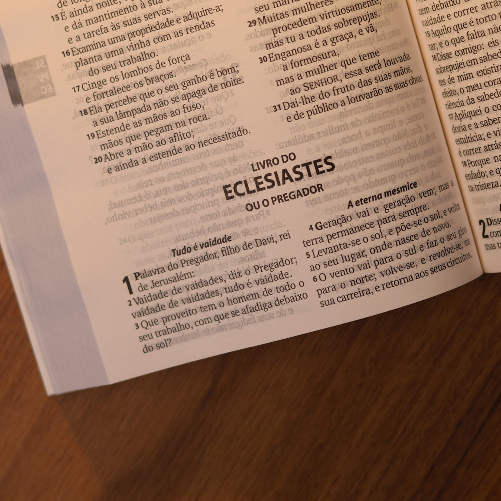 Bíblia Sagrada Ramos | ARA | Letra Grande | Capa Brochura