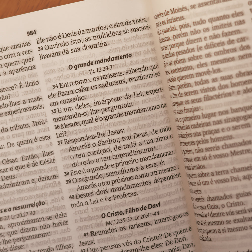 Bíblia Sagrada Ramos | ARA | Letra Grande | Capa Brochura