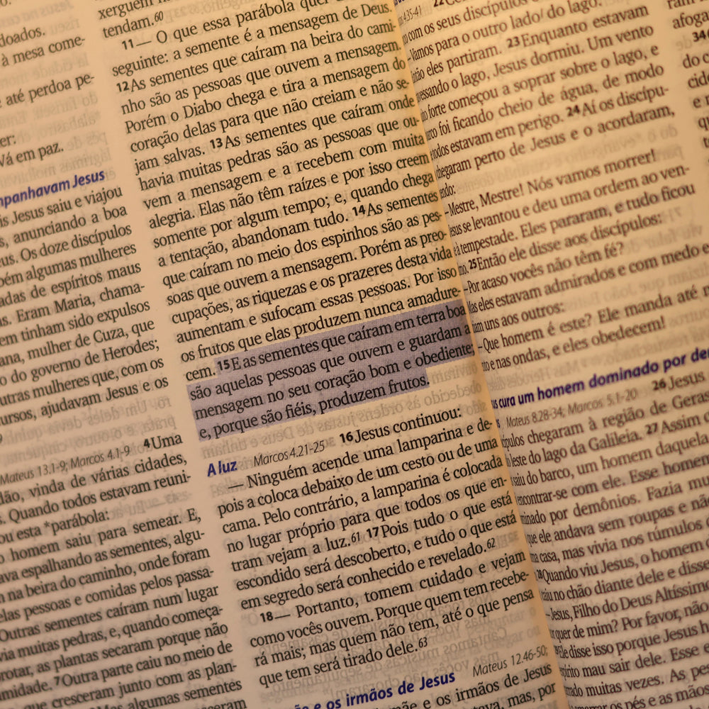 Bíblia Sagrada Semente | NTLH | Letra Maior | Capa Brochura