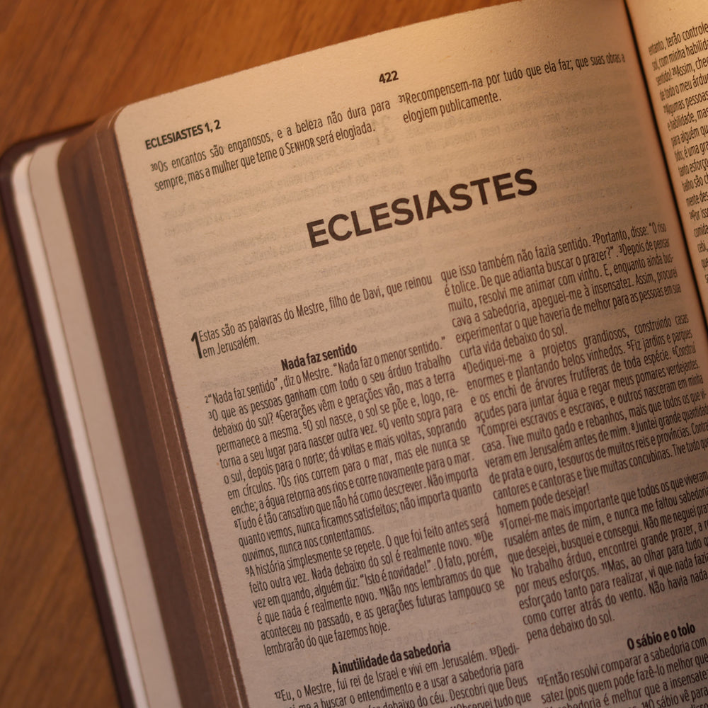 Bíblia Sagrada Slim Ele Ressuscitou | NVT | Capa Dura