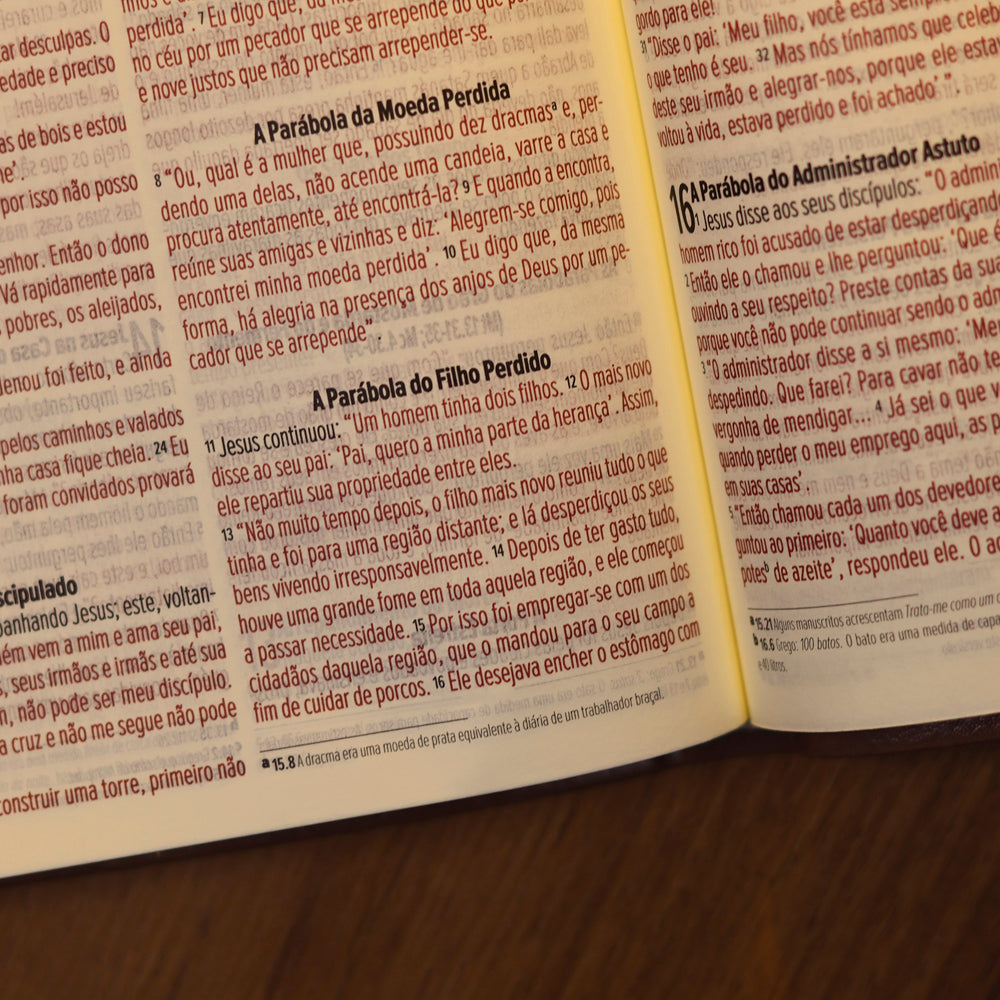Bíblia Slim NVI | Poder da Cruz | Capa Luxo Fendi