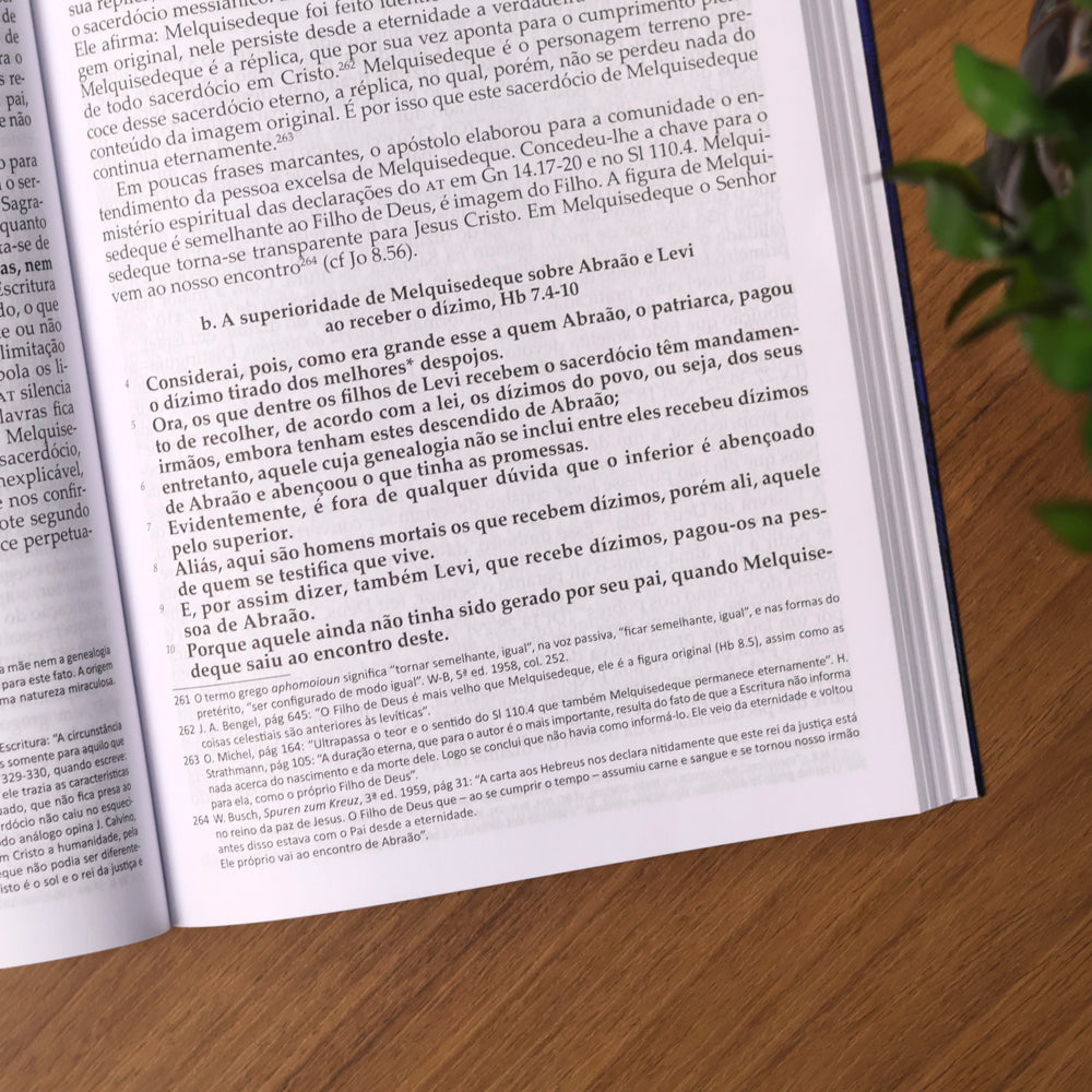 Comentário Carta aos Hebreus | Fritz Laubach