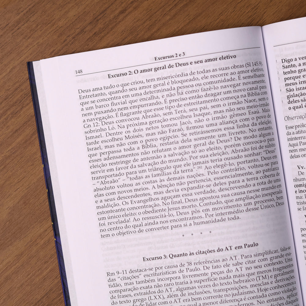 Comentário Carta aos Romanos | Adolf Pohl