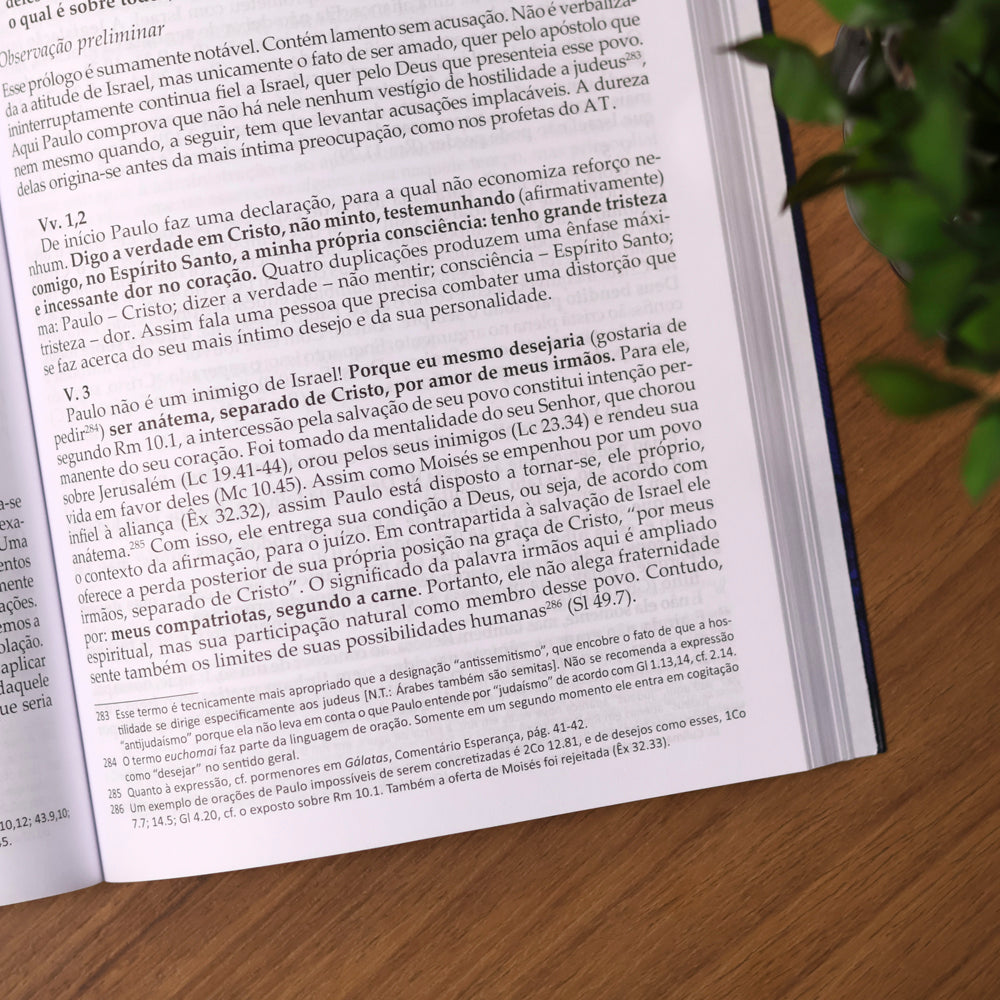 Comentário Carta aos Romanos | Adolf Pohl