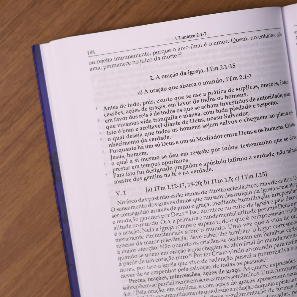 Comentário Cartas aos Tessalonicenses, Timóteo, Tito e Filemom | Hans Burki e Werner de Boor