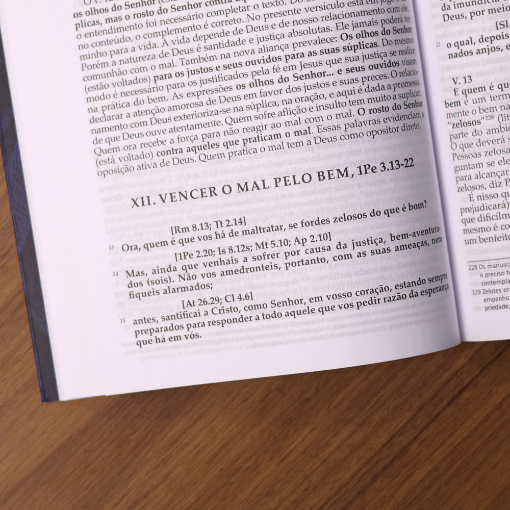 Comentário Cartas de Tiago, Pedro, João e Judas | Fritz Grunzweig, Uwe Holmer e Werner de Boor