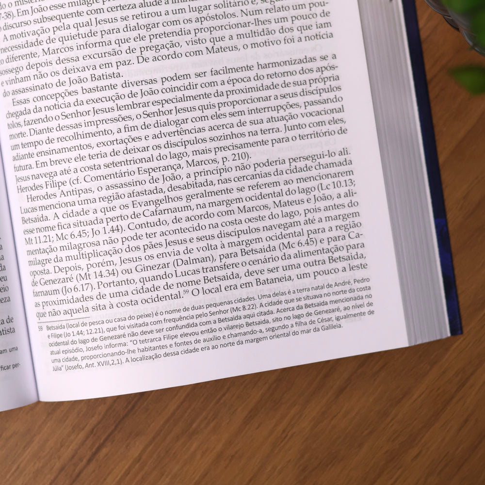 Comentário Evangelho de Lucas | Fritz Rienecker
