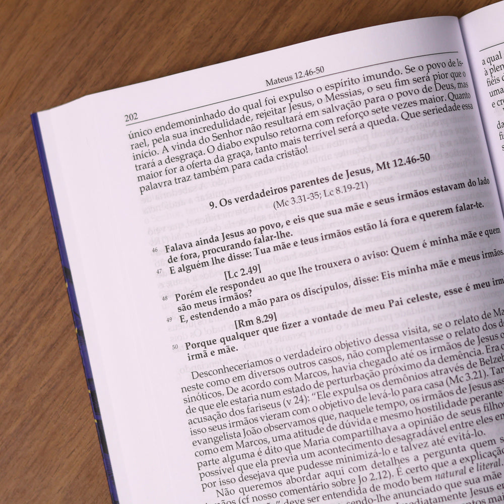 Comentário Evangelho de Mateus |  Fritz Rienecker