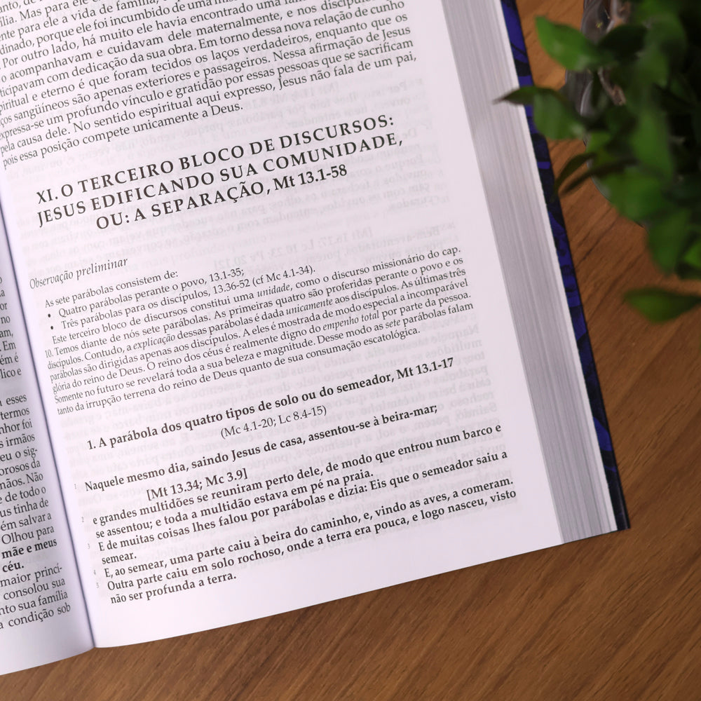 Comentário Evangelho de Mateus |  Fritz Rienecker