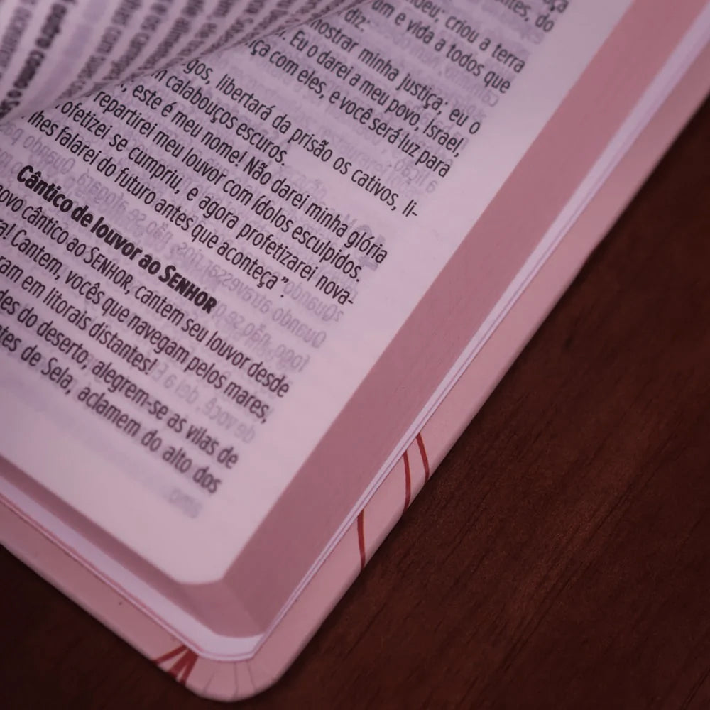 Kit Bíblia Sagrada Slim Tudo Crê | NVT | Capa Dura + Bloco de Anotações Tudo Crê | Capa Brochura