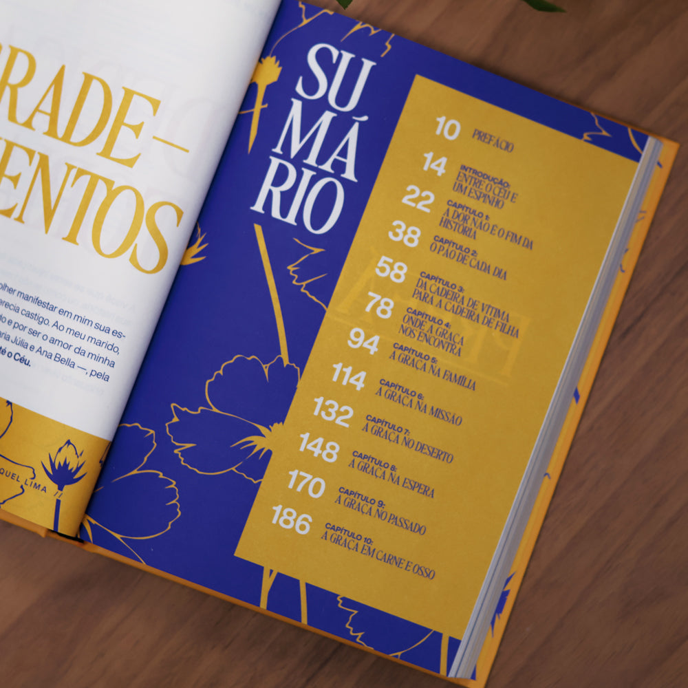 Nem Um Dia Sem Graça | Raquel Lima