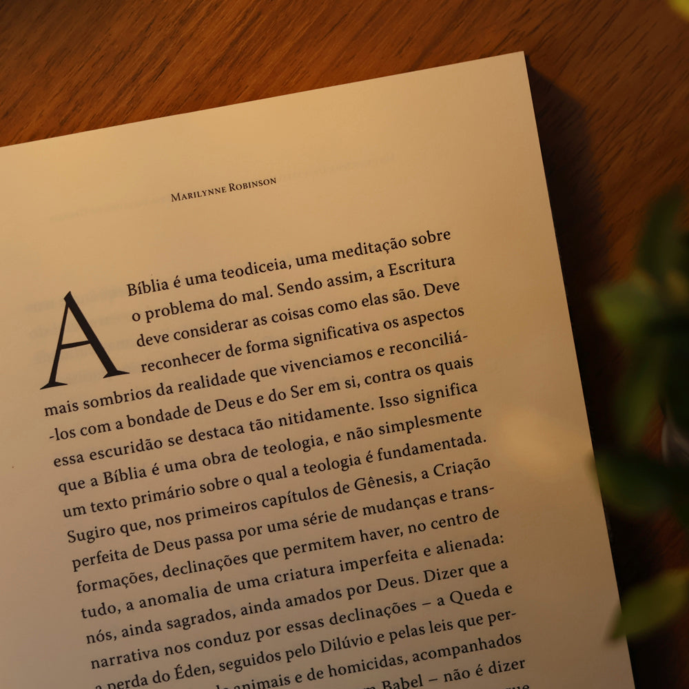 No Princípio | Marilynne Robinson