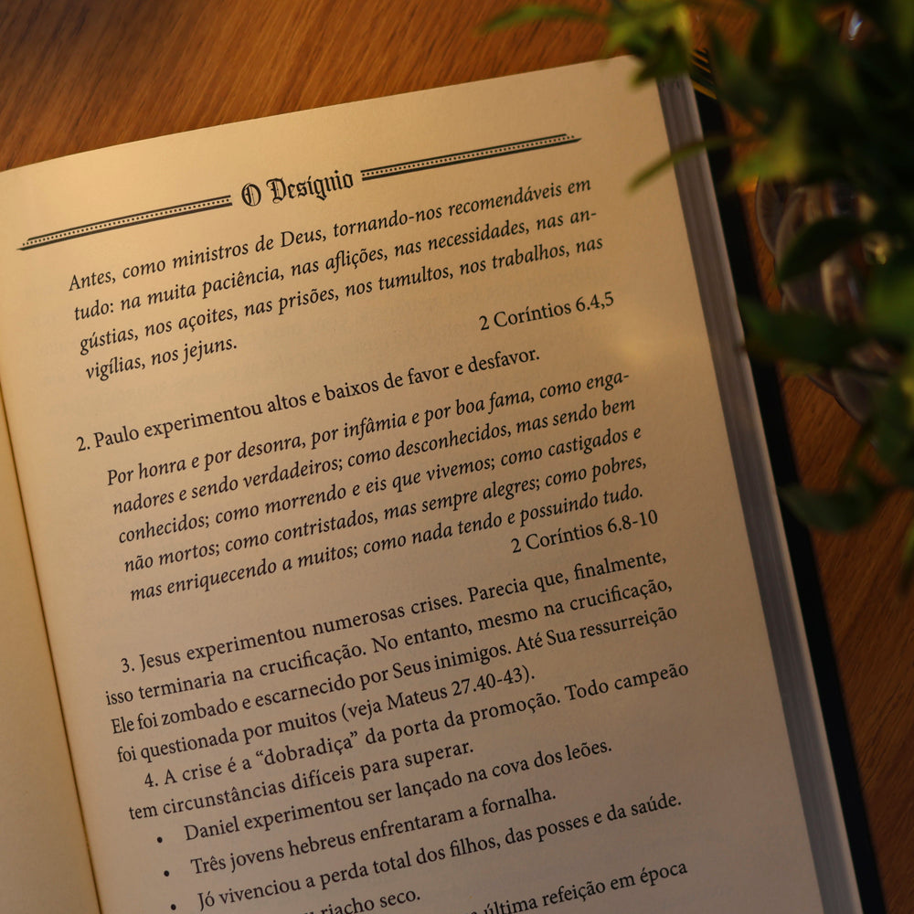 O Desígnio | Mike Murdock | Vol. 2