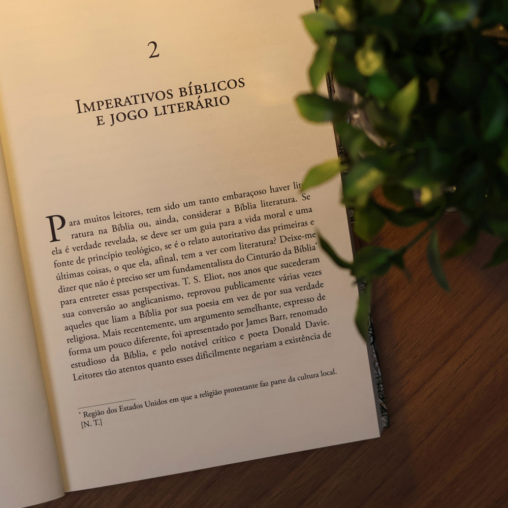 O Mundo da Literatura Bíblica | Robert Alter