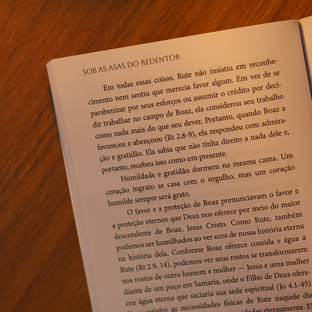 Sob as Asas do Redentor | Alistair Begg