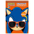 Sonic | Meu Livro de Atividades e Diversão
