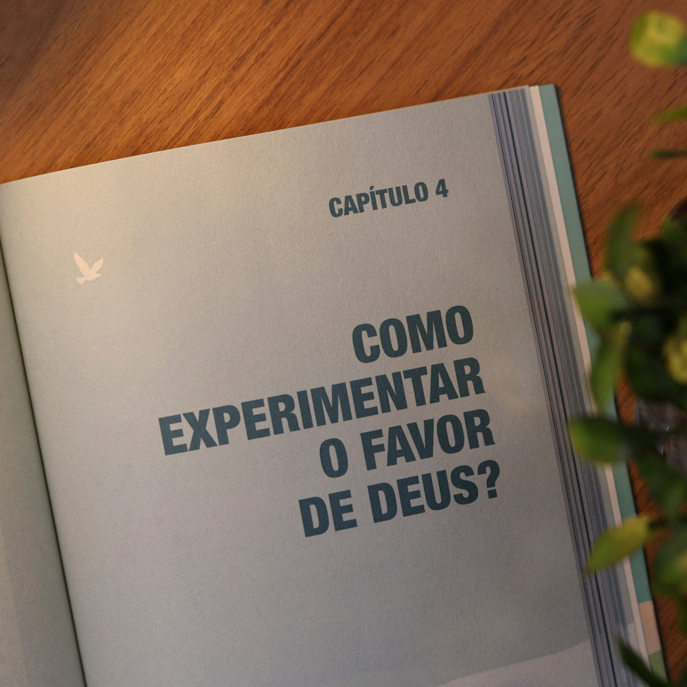 Vivendo em Favor de Deus | Julio Vertullo
