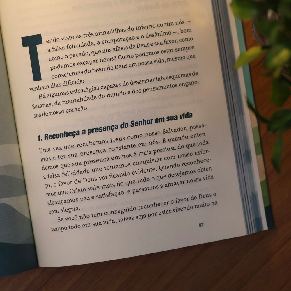 Vivendo em Favor de Deus | Julio Vertullo