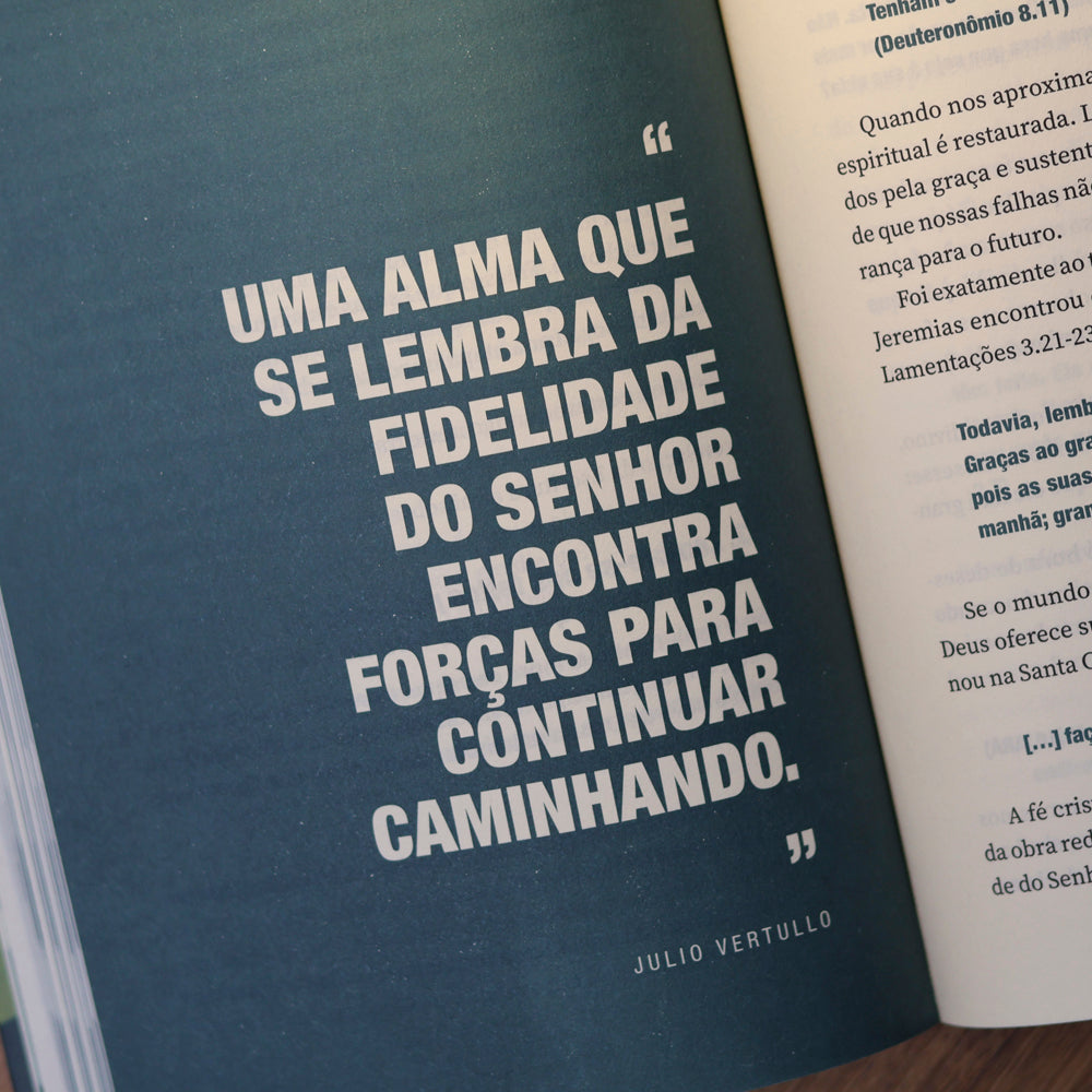 Vivendo em Favor de Deus | Julio Vertullo